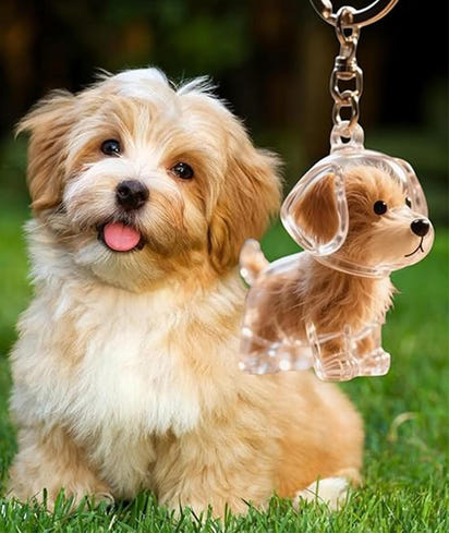 Beloved Pet Keepsake Keychain™