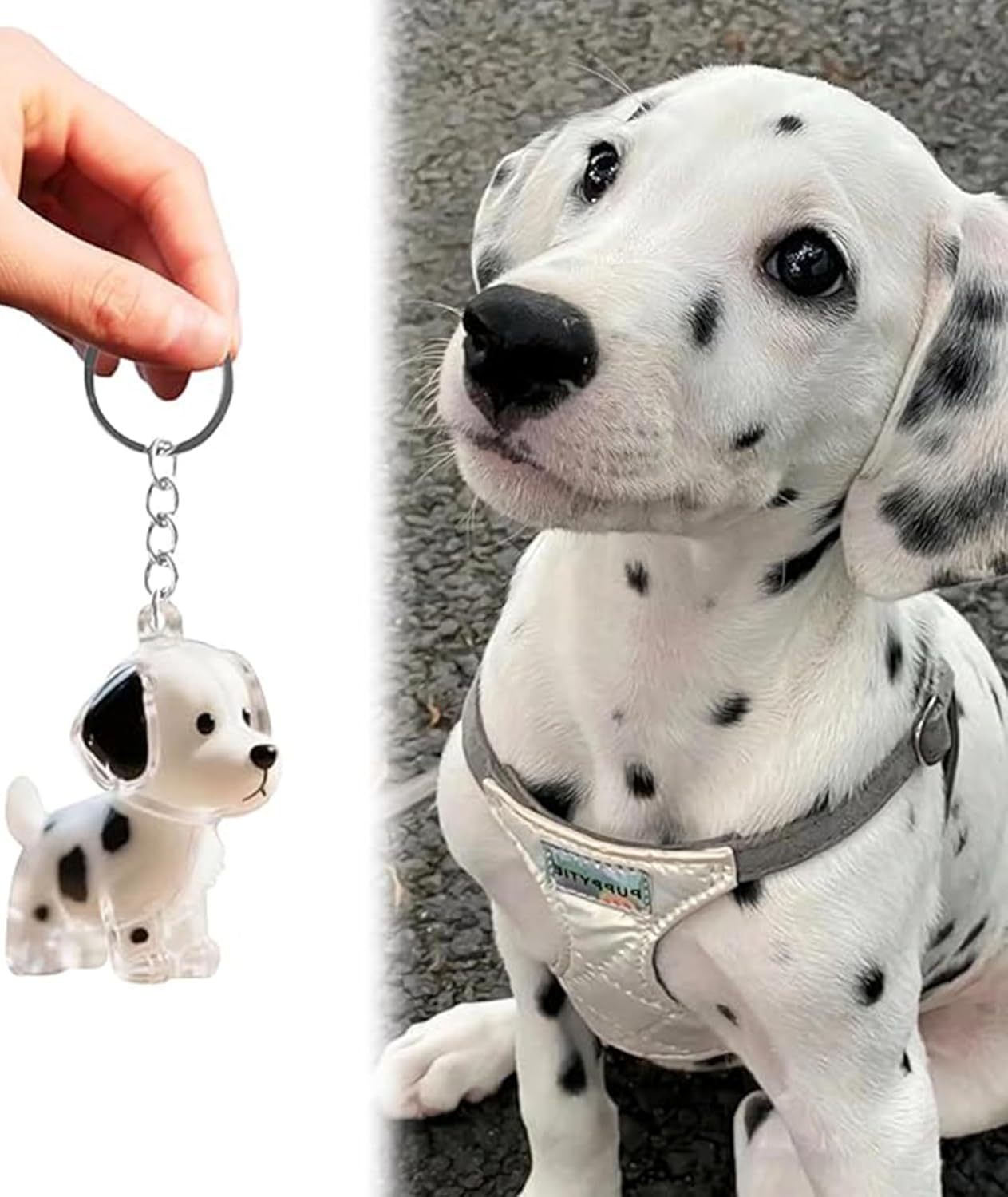 Beloved Pet Keepsake Keychain™